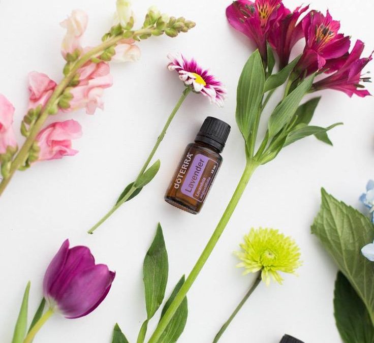 Lavender essential oil with a bunch of flowers